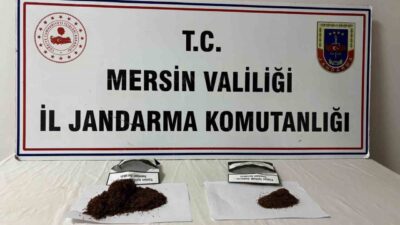 Mersin’in Anamur ilçesinde jandarma ekipleri, son bir hafta içinde gerçekleştirdikleri