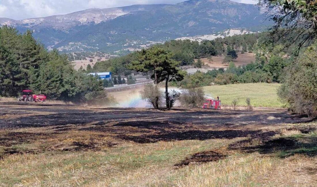 Mudurnu ilçesine bağlı Yazılar köyü yakınlarında, bir tarlada aniden çıkan