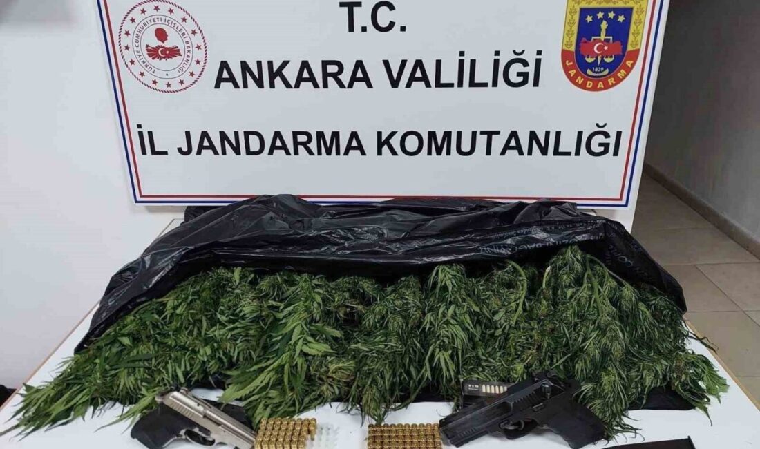 Ankara İl Jandarma Komutanlığı tarafından yürütülen operasyonda uyuşturucu ticareti yaptığı,