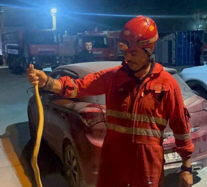 Hatay’ın Antakya ilçesinde itfaiye istasyonuna gelen aracın içerisinde görülen yılan,