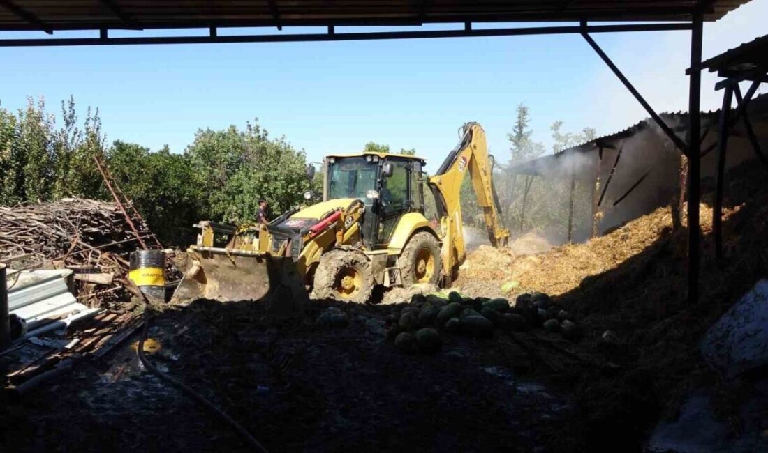 Manavgat ilçesi Gündoğdu Mahallesi Kırlı mevkiinde meydana gelen yangında, ahır