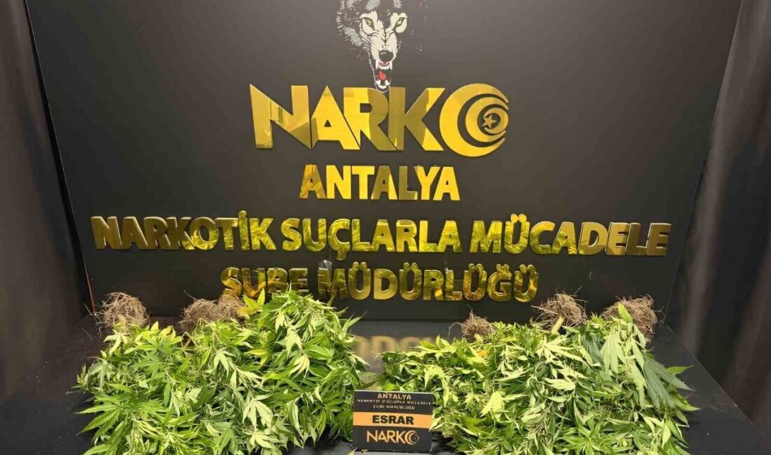 Antalya’da son 1 haftada düzenlenen 32 narkotik operasyonunda, 28 bin