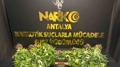 Antalya’da son 1 haftada düzenlenen 32 narkotik operasyonunda, 28 bin