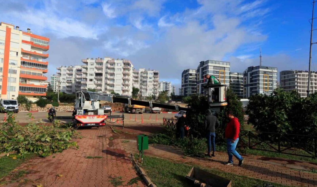 Antalya’nın Kepez ilçesinde seyir terasını yerle bir ettikten sonra önüne
