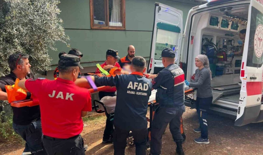 Antalya’nın Konyaaltı ilçesinde bir ağaçlık alanda kaybolan ve Jandarma Arama
