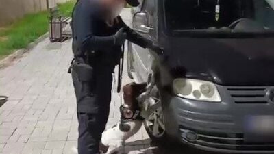 Denizli’de polis ekipleri tarafından gerçekleştirilen operasyonda, iki şüpheli araçta bulunan
