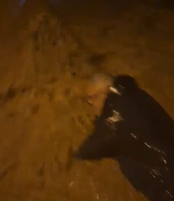 Yalova’nın Armutlu ilçesinde meydana gelen şiddetli yağışlar sonucu sokaklarda ve