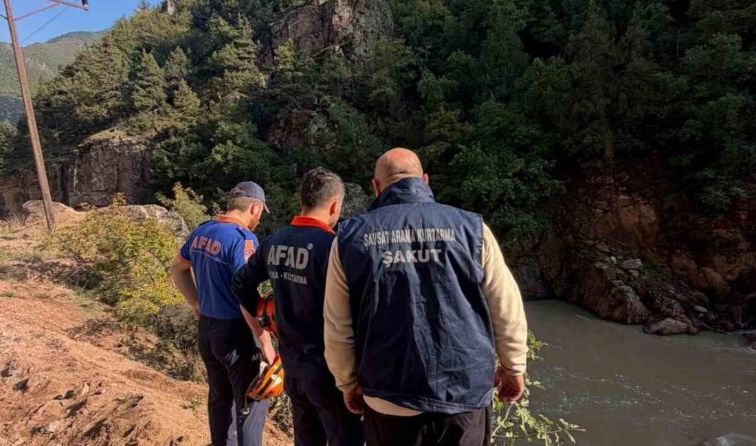 Artvin’de bir aracın kontrolden çıkması sonucu Şavşat Deresi’ne düşen olayda,