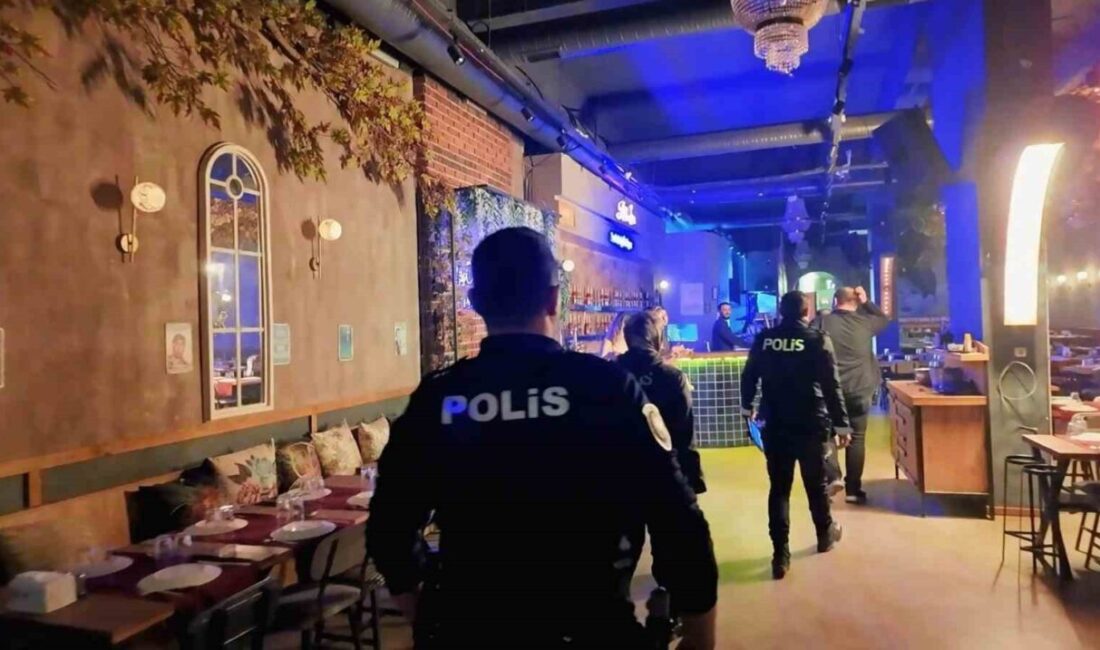 Efeler ilçesinde polis ekipleri tarafından bir ay içerisinde 208 umuma