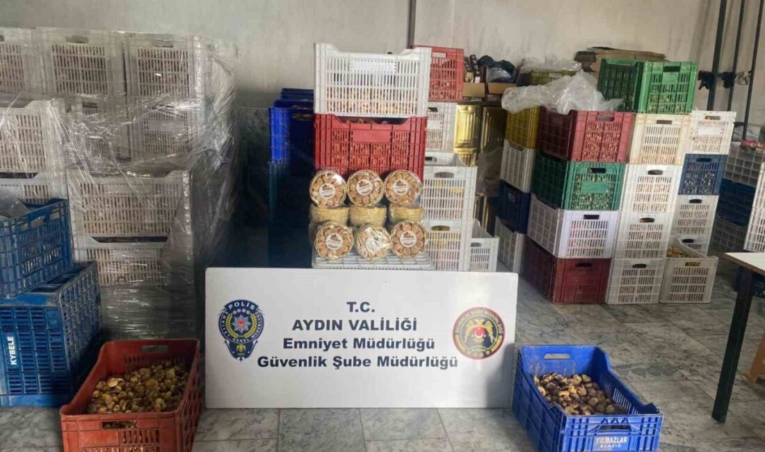 Efeler ve Köşk ilçelerinde bir hafta içerisinde gerçekleştirilen altı farklı
