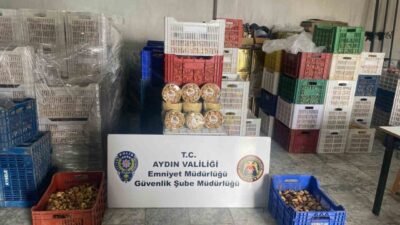 Efeler ve Köşk ilçelerinde bir hafta içerisinde gerçekleştirilen altı farklı