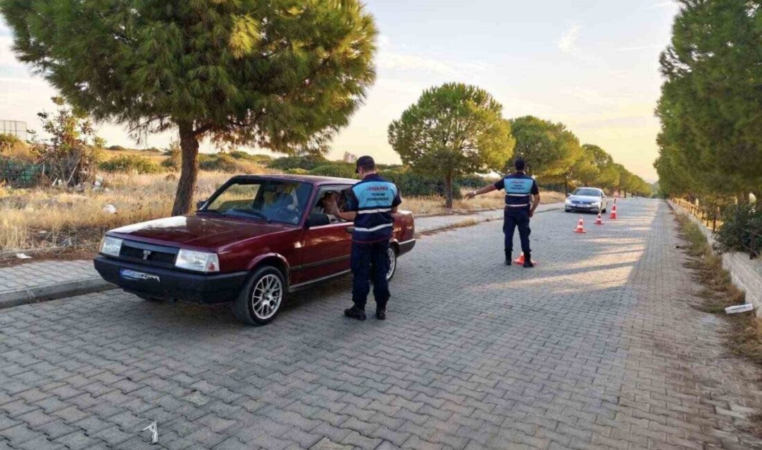 Aydın’da gerçekleştirilen Çember-147 operasyonu kapsamında iki günde toplam 41 aranan