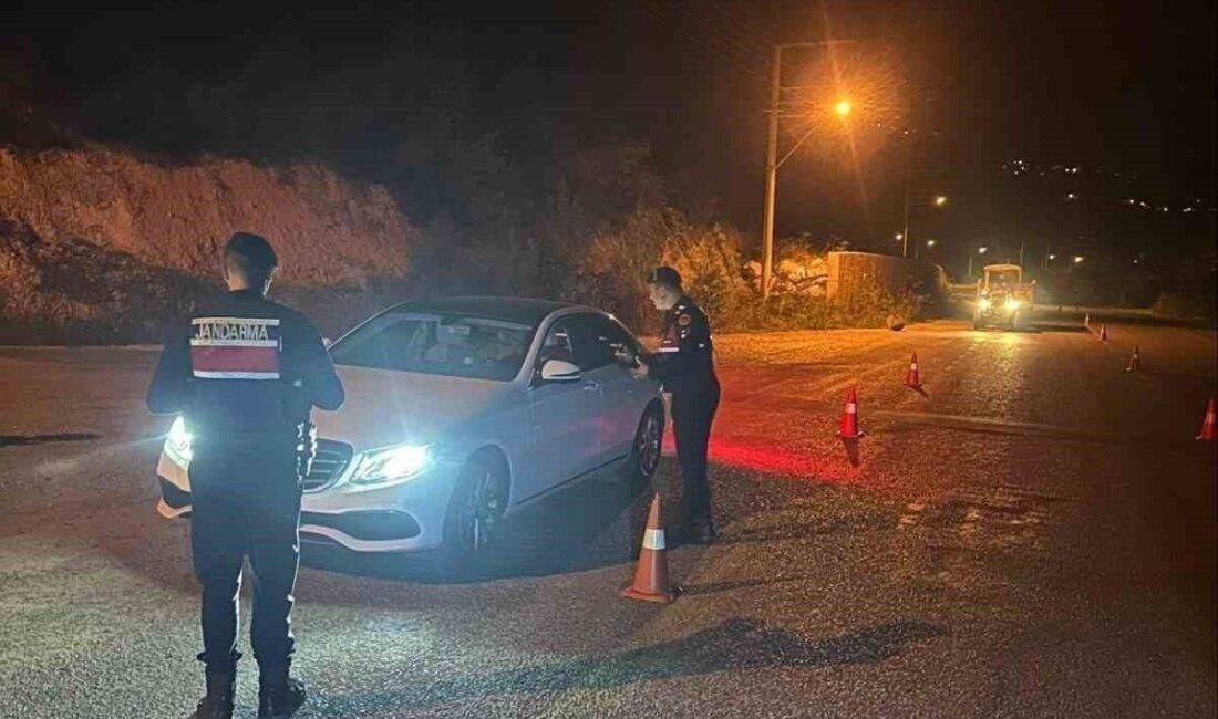 Aydın ilinde gerçekleştirilen ‘Çember-145’ operasyonu sonucunda, iki gün içinde toplam