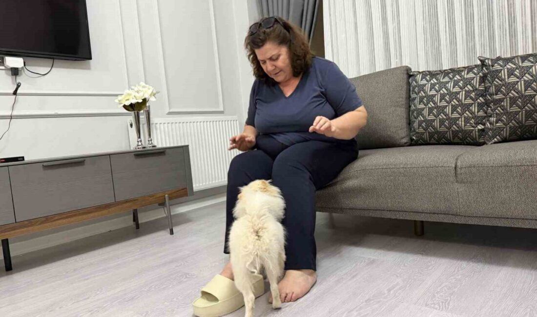 Mardin’de yaşayan Günay Bilbay, kızının isteği üzerine satın aldıkları köpeğin