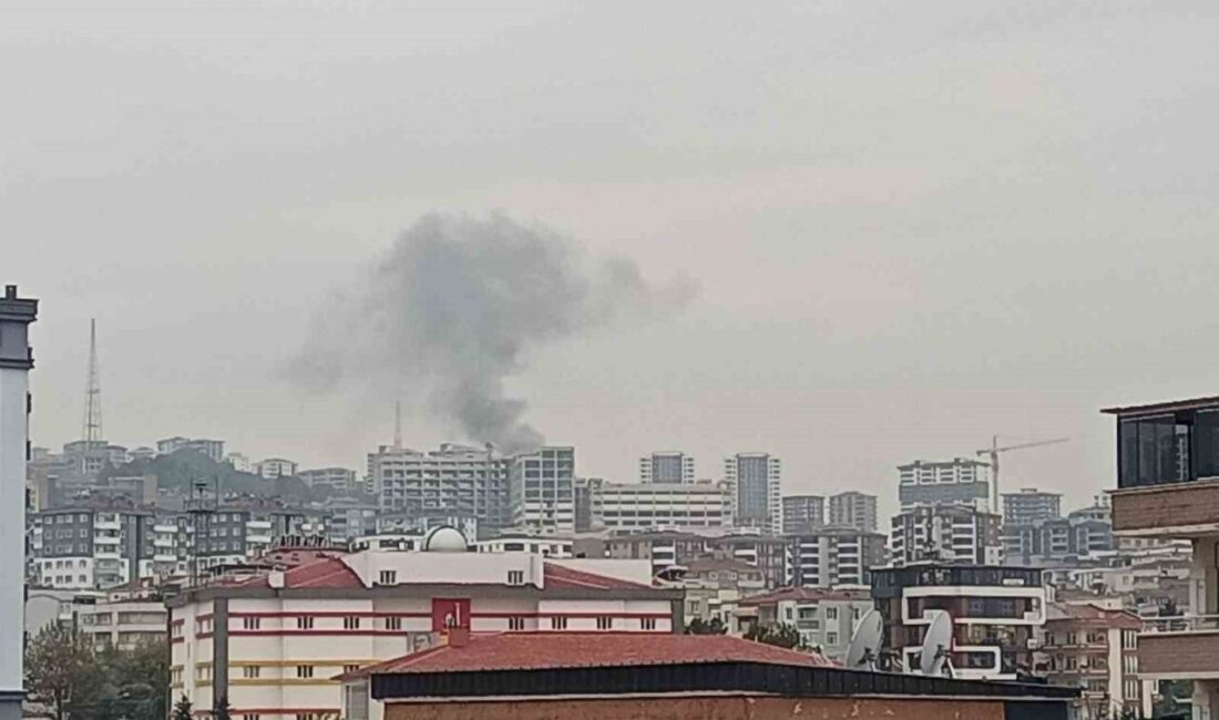 Samsun’un Atakum ilçesinde bir evin bahçesinde yakılan anızdan yükselen dumanlar,