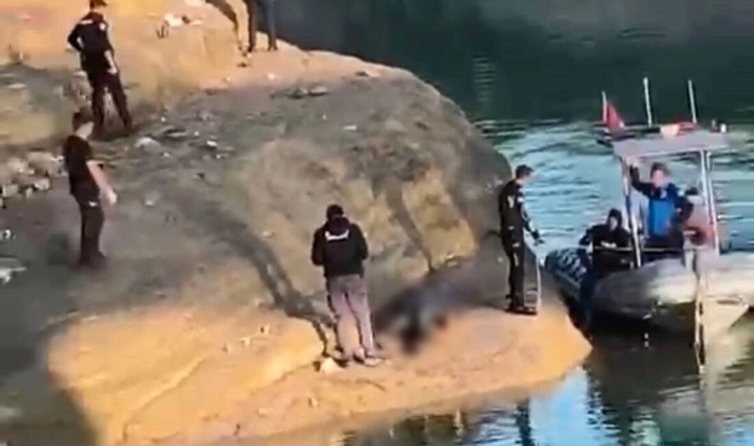 Adana’da arkadaşlarıyla balık tuttuğu sırada Seyhan Baraj Gölü’ne düşerek kaybolan