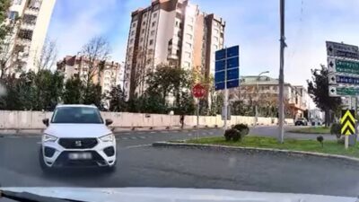 Başakşehir’de, trafik kurallarını ihlal ederek ters yönde dönüş yapan sürücünün