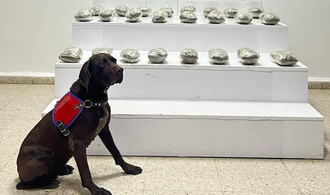 Jandarma ekiplerinin Van’ın Başkale ilçesinde yaptığı operasyonda 10 kilo 111