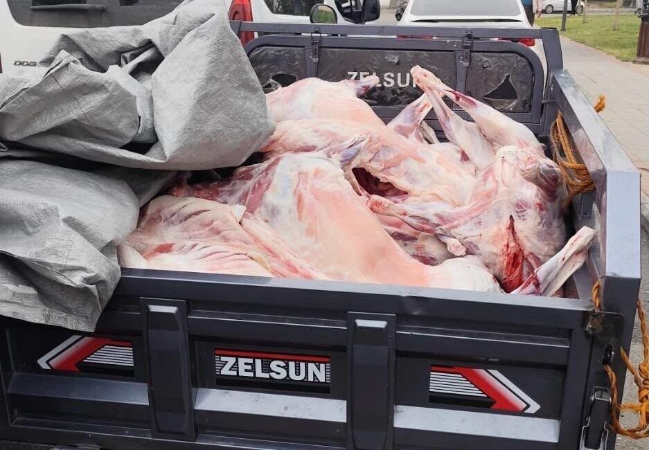Batman’da, halk sağlığının korunması ve güvenilir gıda arzının temini amacıyla
