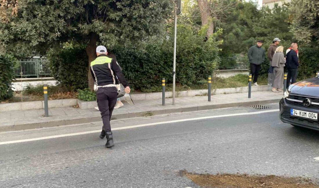 Beşiktaş, İstanbul’da meydana gelen zincirleme trafik kazasında, 5 aracın karıştığı