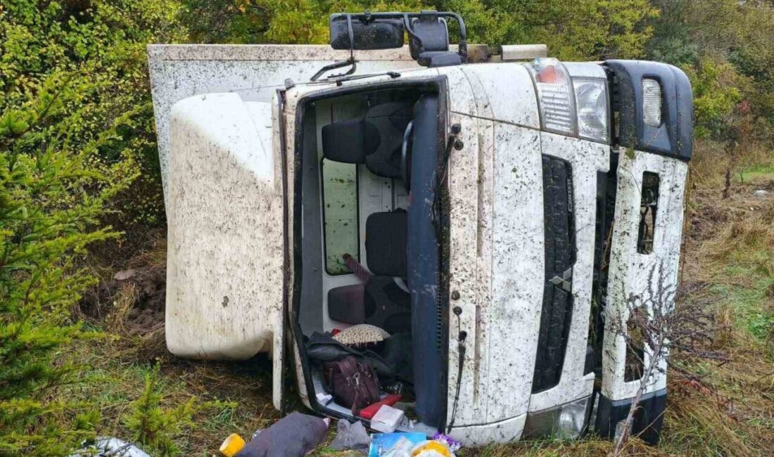 Bozüyük ilçesinde meydana gelen trafik kazasında kontrolü kaybeden bir kamyon,