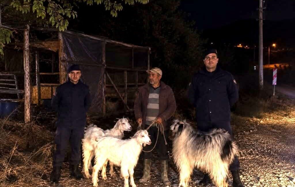 Bilecik’in Söğüt ilçesinde 5 küçükbaş hayvanın kaybolmasıyla ilgili gelişme yaşandı.