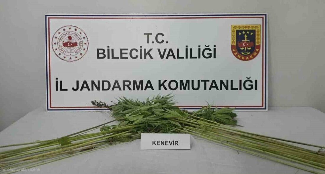 Pazaryeri ilçesinde, Bilecik İl Jandarma Komutanlığı ekipleri tarafından gerçekleştirilen adli