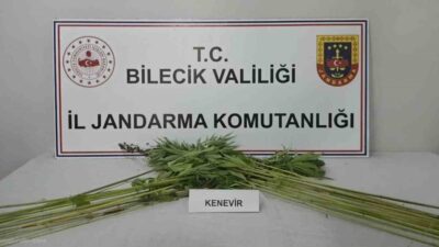 Pazaryeri ilçesinde, Bilecik İl Jandarma Komutanlığı ekipleri tarafından gerçekleştirilen adli