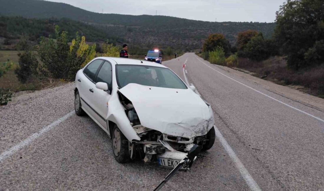 Bilecik’in Gölpazarı ilçesinde yağmur nedeniyle kayganlaşan yolda meydana gelen trafik