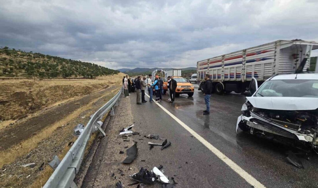 Bingöl ilinde meydana gelen trafik kazasında bir kişi, hafif ticari
