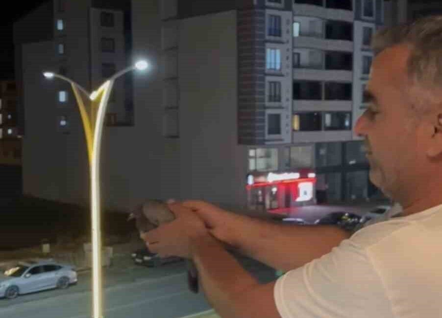 Bingöl’de, Genç ilçesindeki Kültür Mahallesi’nde dün akşam meydana gelen olayda,