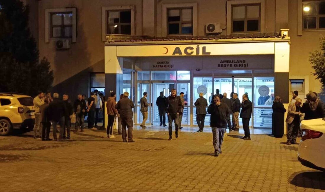 Bingöl’ün Solhan ilçesinde inşaat iskelesinden düşen 45 yaşındaki K.T. yaralandı.