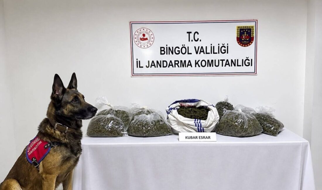 Bingöl İl Jandarma Komutanlığı ekipleri tarafından gerçekleştirilen operasyonlarda 25 farklı