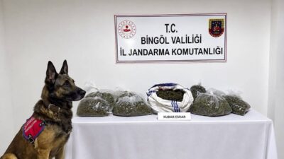 Bingöl İl Jandarma Komutanlığı ekipleri tarafından gerçekleştirilen operasyonlarda 25 farklı
