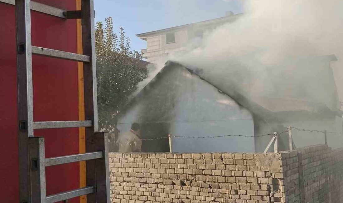 Bingöl merkeze bağlı Simani Mahallesi’nde, İhlas Caddesi’nde bulunan bir odunlukta