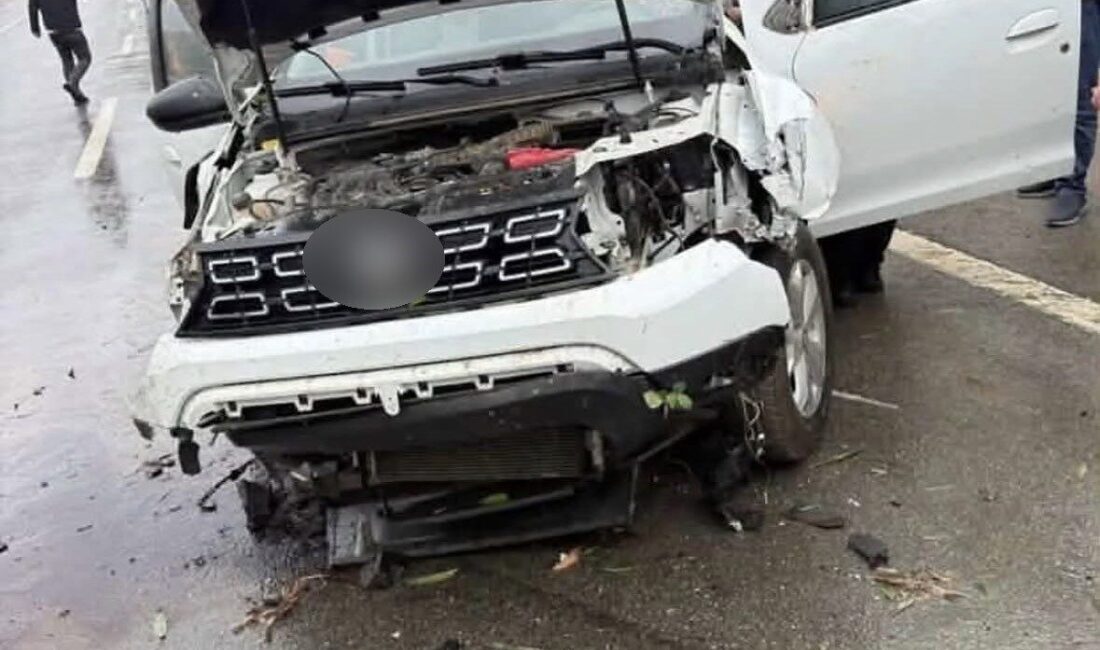 Bingöl’de, otomobilin sürücüsünün kontrolünü kaybetmesi sonucu tabela ve ağaca çarpması