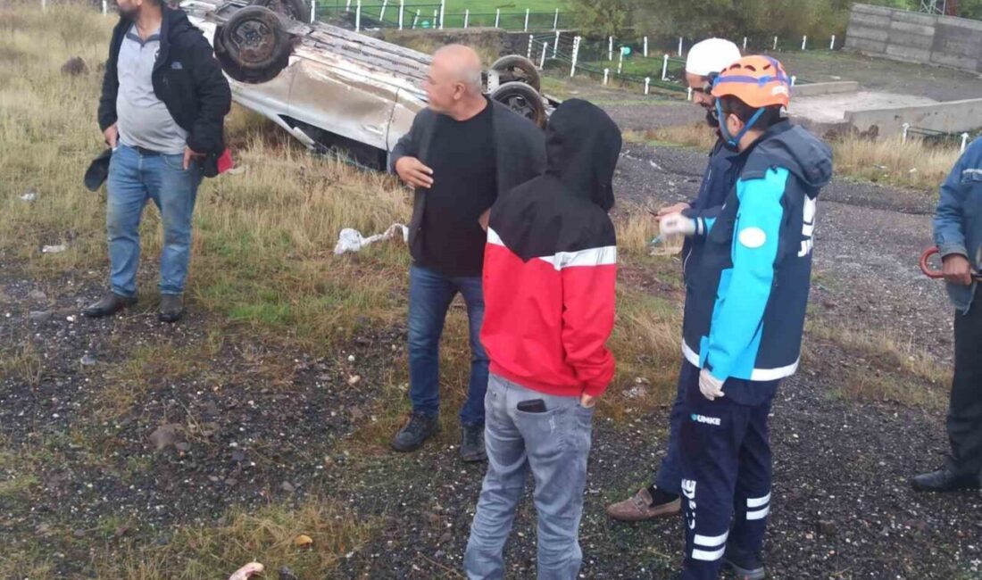 Bingöl’de bir aracın sürücüsünün kontrolünü kaybetmesi sonucu meydana gelen kaza