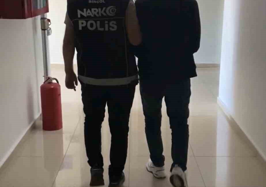 Bingöl ilinde narkotik polis ekipleri tarafından gerçekleştirilen operasyonda 3 farklı