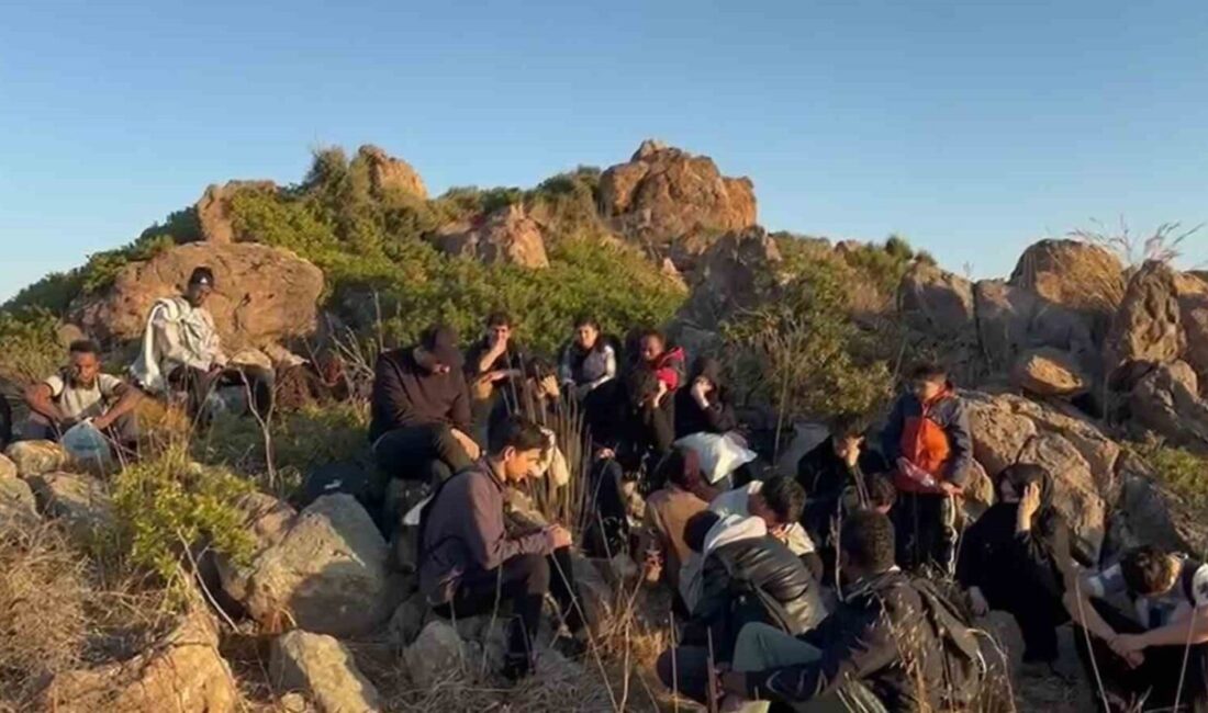 Muğla’nın Bodrum ilçesinde Sahil Güvenlik ekipleri tarafından kara üzerinde tespit