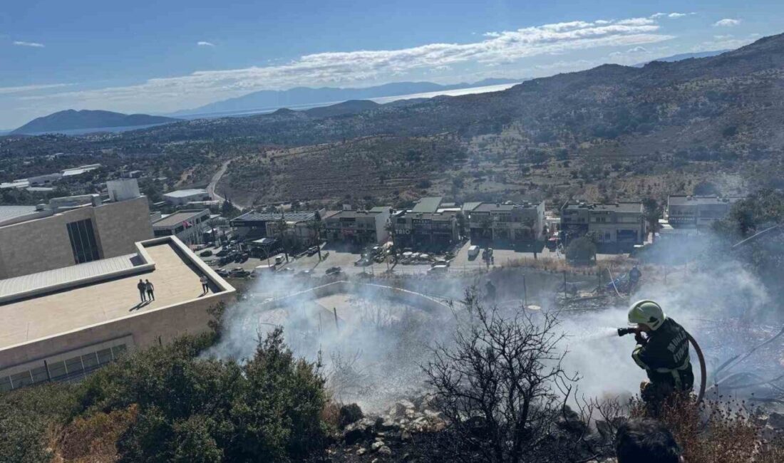 Bodrum ilçesinde bulunan makilik alanda çıkan yangında yaklaşık 200 metrekarelik