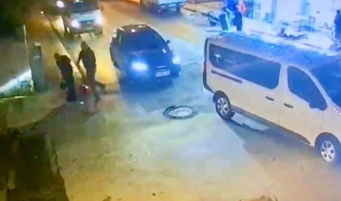 Bodrum ilçesinde, bir kamyonet sürücüsü, skuterle aniden caddeye çıkan bir