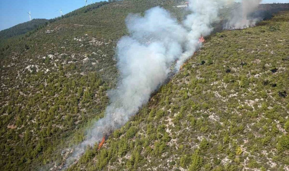 Bodrum’un Mazı Mahallesi’nde bir orman yangını meydana geldi. Bugün öğle