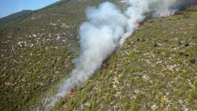 Bodrum’un Mazı Mahallesi’nde bir orman yangını meydana geldi. Bugün öğle