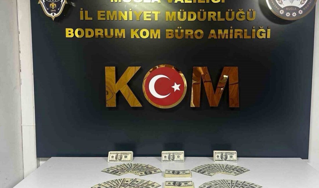 Muğla’nın Bodrum ilçesinde sahte dolar basarak piyasaya sürmeye hazırlanan bir