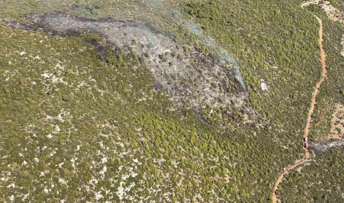 Bodrum’un Mazı Mahallesi’nde meydana gelen orman yangını başarıyla kontrol altına