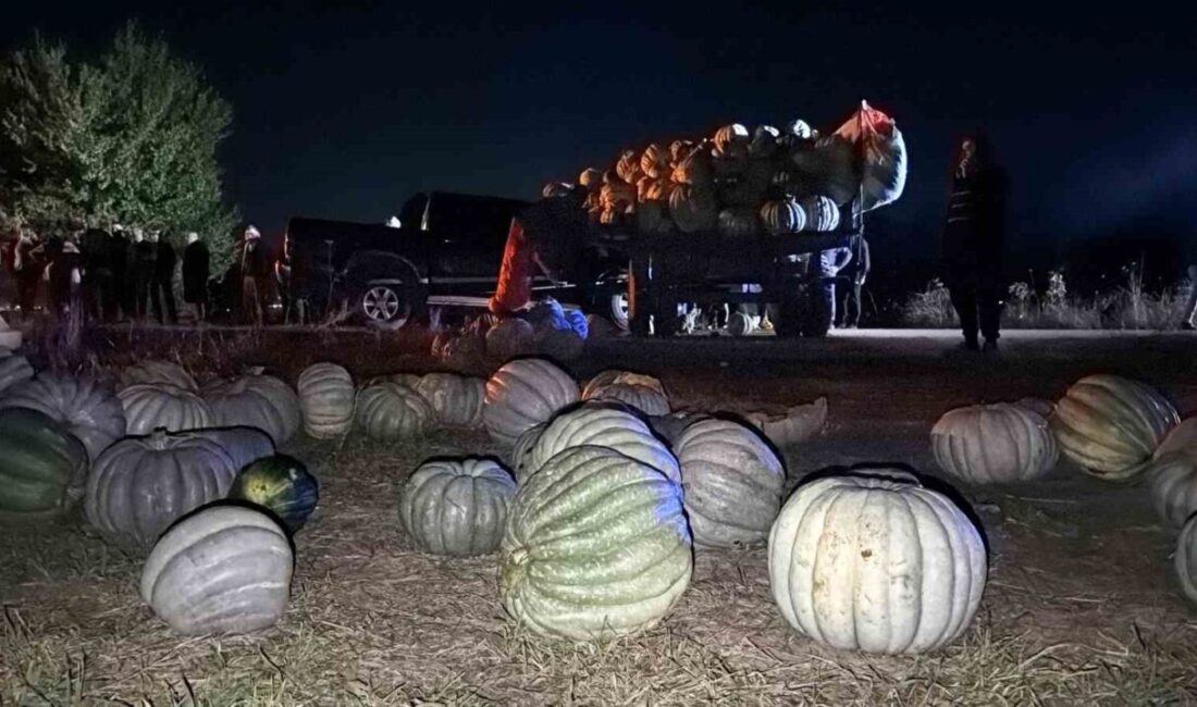 Bolu’da meydana gelen trafik kazasında, pikap ile kabak yüklü traktörün