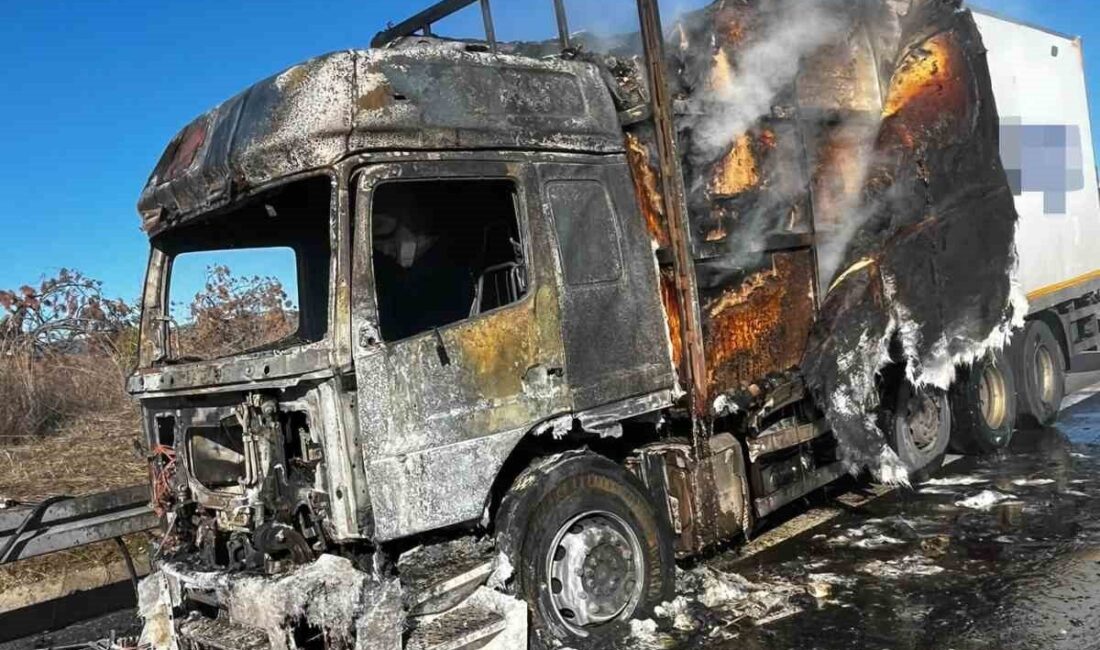 Bolu’nun Dörtdivan ilçesinde seyir halinde olan bir kargo tırının kupa
