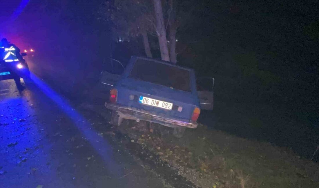 Bolu’nun Mudurnu ilçesinde meydana gelen trafik kazasında, sürücüsü kontrolü kaybederek
