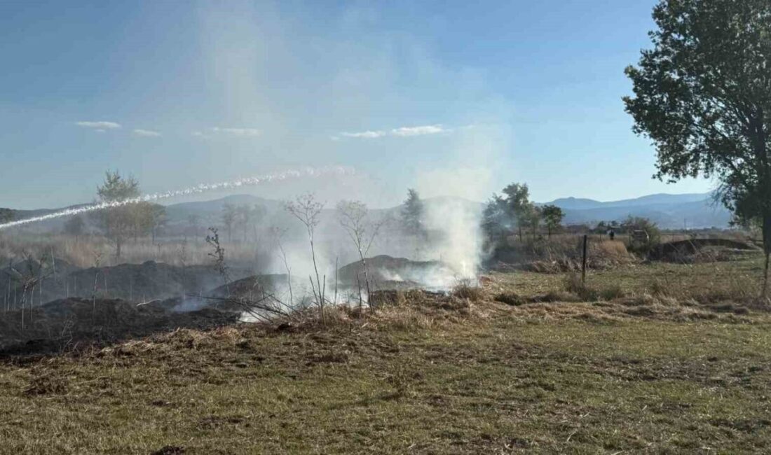 Bolu’nun Dörtdivan ilçesinde bayramlar Mahallesi Pompalar mevkisinde, henüz nedeni bilinmeyen
