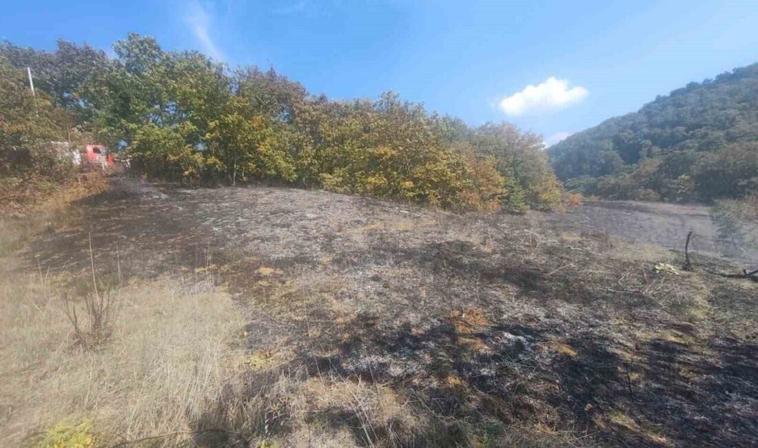 Bolu’daki Mudurnu ilçesindeki otluk arazide başlayan yangın, itfaiye ekiplerinin hızlı